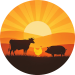 Barnyly logo